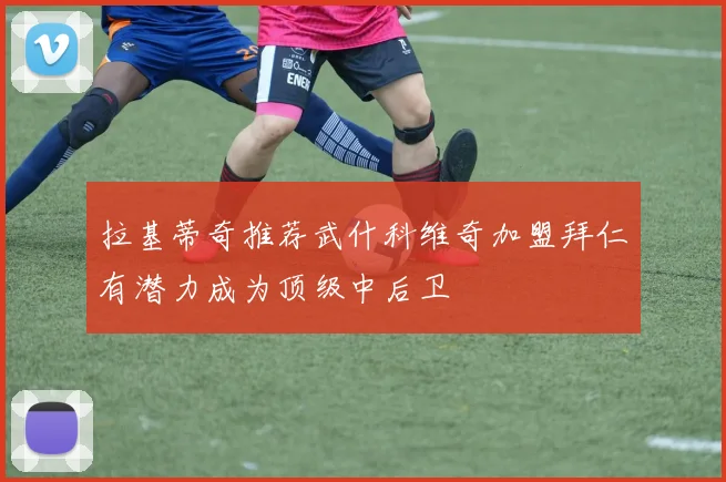 拉基蒂奇推荐武什科维奇加盟拜仁有潜力成为顶级中后卫